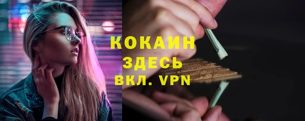 Альфа ПВП Алзамай