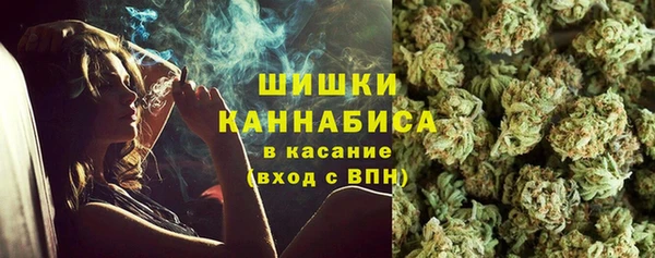 шишки Арсеньев
