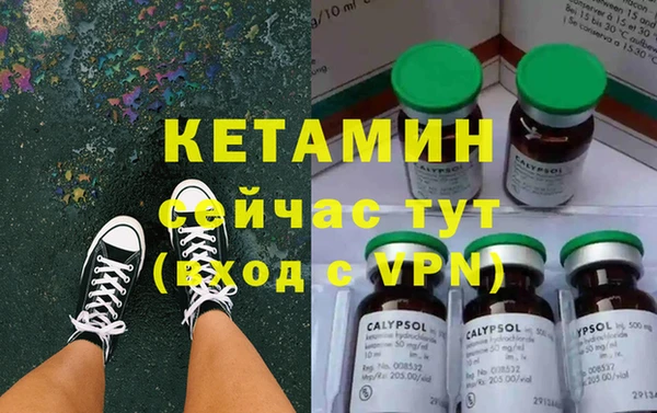 шишки Арсеньев